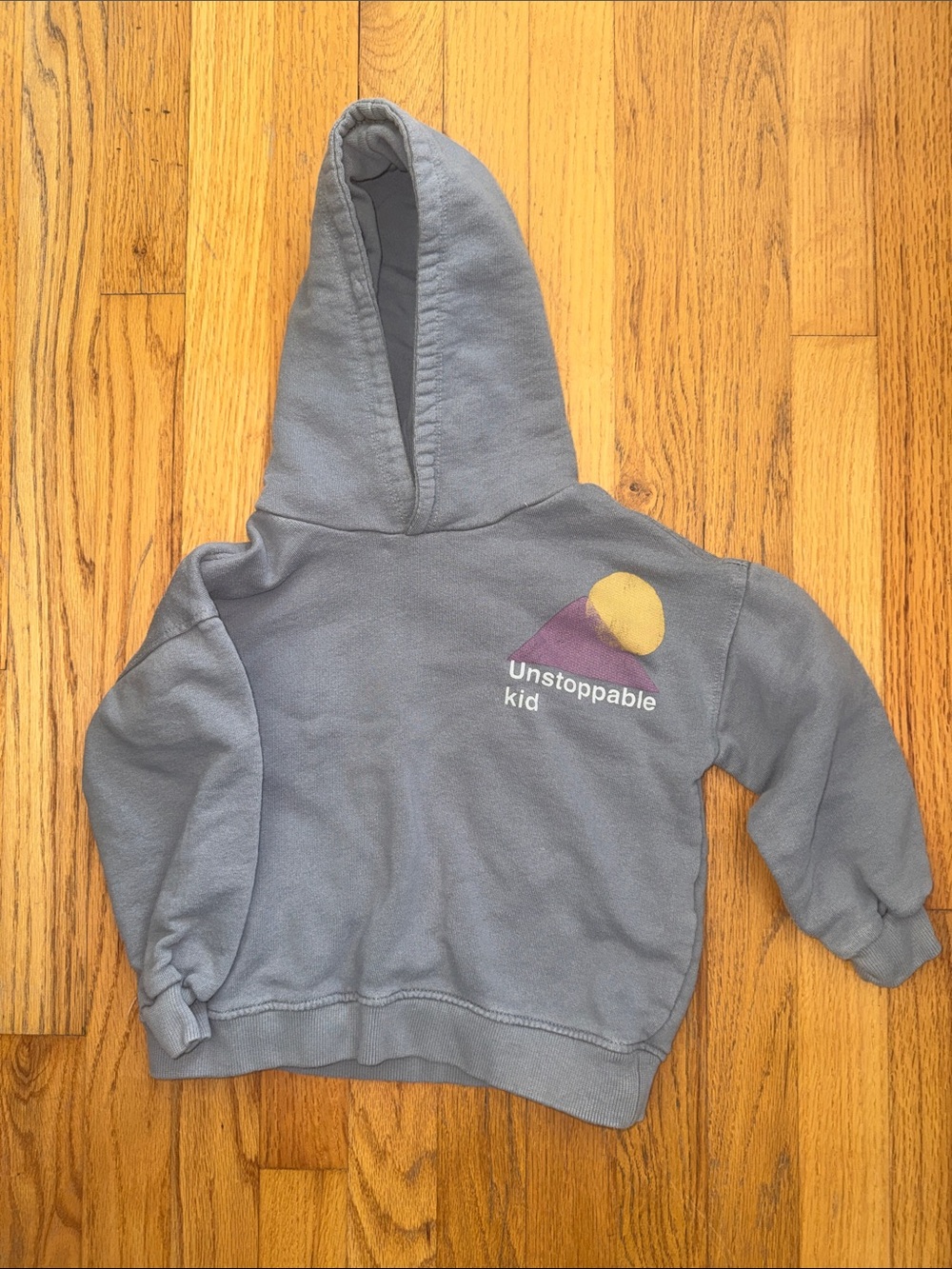 Zara Slate Blue Hooded Sweatshirt with Graphic